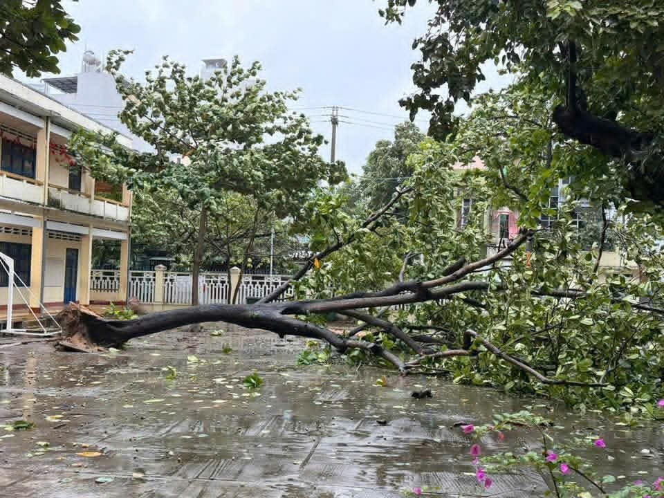 Bão Kalmaegi gây tốc mái nhiều nhà dân tại Gia Lai Bão Kalmaegi gây tốc mái nhiều nhà dân tại Gia Lai