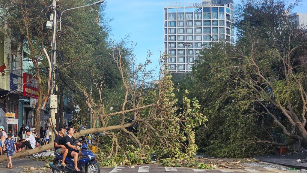 Quy Nhơn ngổn ngang sau bão Kalmaegi Quy Nhơn ngổn ngang sau bão Kalmaegi