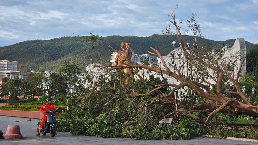 Quy Nhơn ngổn ngang sau bão Kalmaegi Quy Nhơn ngổn ngang sau bão Kalmaegi