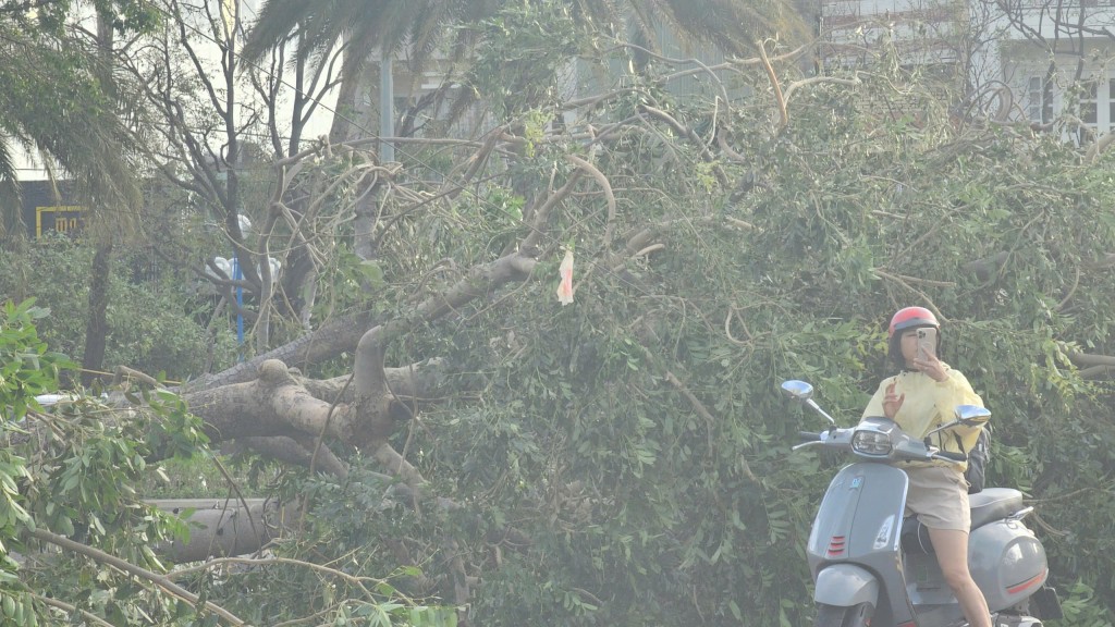 Người dân Quy Nhơn vẫn chưa hết bàng hoàng với bão Kalmaegi Người dân Quy Nhơn vẫn chưa hết bàng hoàng với bão Kalmaegi