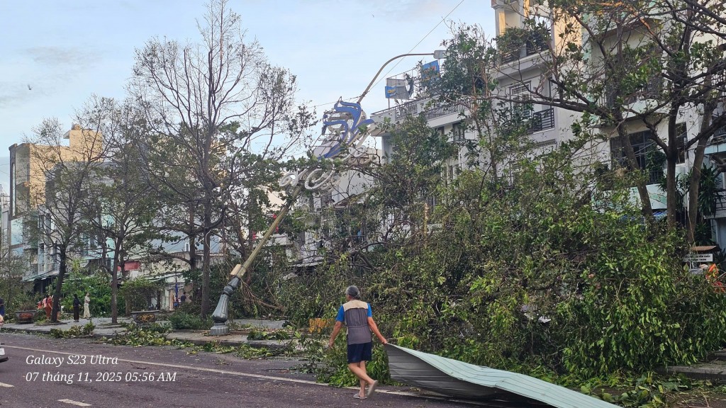 Quy Nhơn ngổn ngang sau bão Kalmaegi Quy Nhơn ngổn ngang sau bão Kalmaegi