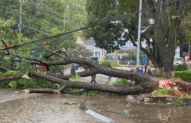 Hỗ trợ khẩn cấp 80 tỷ đồng cho 3 tỉnh Quảng Ngãi, Gia Lai, Đắk Lắk khắc phục hậu quả bão số 13