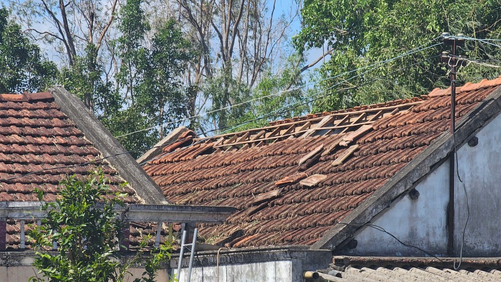 Gia Lai: Bão Kalmaegi đi qua, hậu quả nặng nề để lại Gia Lai: Bão Kalmaegi đi qua, hậu quả nặng nề để lại