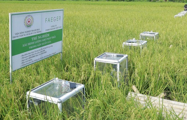 Hướng tới nông nghiệp xanh, giảm phát thải và tạo tín chỉ carbon