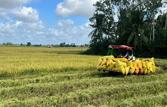 Thúc đẩy ứng dụng giải pháp sinh học để giảm phát thải khí mê-tan