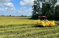 Thúc đẩy ứng dụng giải pháp sinh học để giảm phát thải khí mê-tan