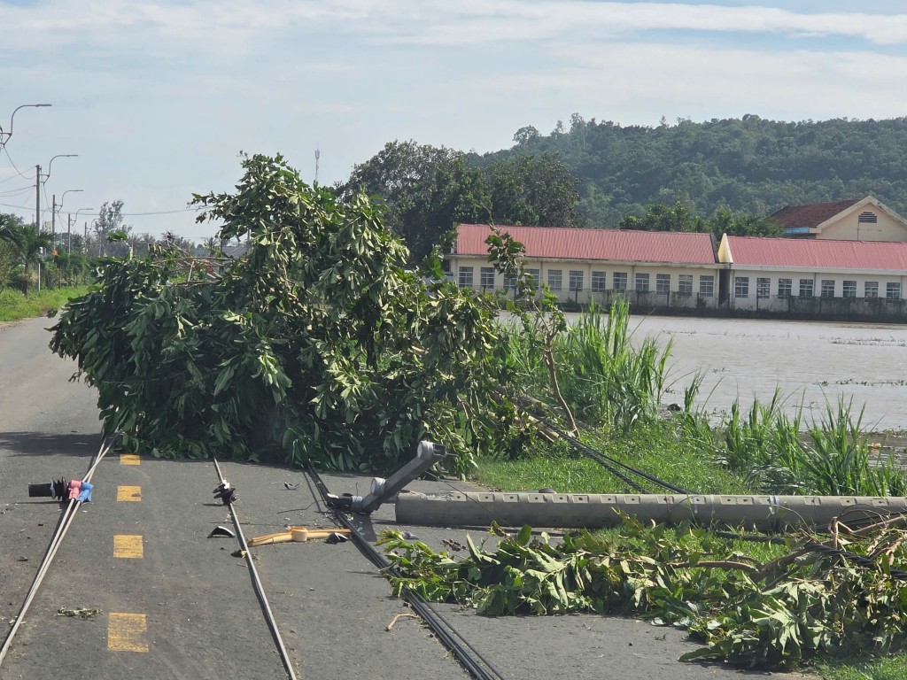 Đắk Lắk ảnh hưởng nặng nề sau bão số 13 Đắk Lắk ảnh hưởng nặng nề sau bão số 13