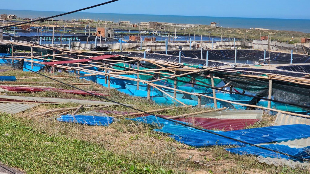 Gia Lai: Không để người dân thiếu lương thực, chỗ ở sau bão Gia Lai: Không để người dân thiếu lương thực, chỗ ở sau bão
