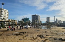 Kalmaegi là cơn bão lịch sử, hạ tầng bị phá huỷ nặng nề