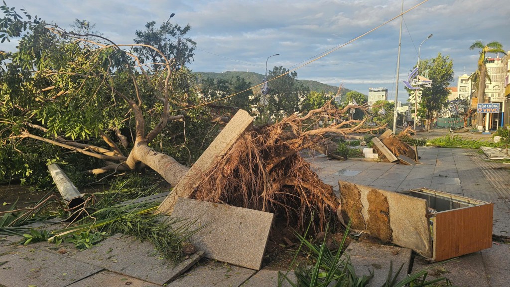 Kalmaegi là cơn bão lịch sử, hạ tầng đô thi bị phá huỷ nặng Kalmaegi là cơn bão lịch sử, hạ tầng đô thi bị phá huỷ nặng