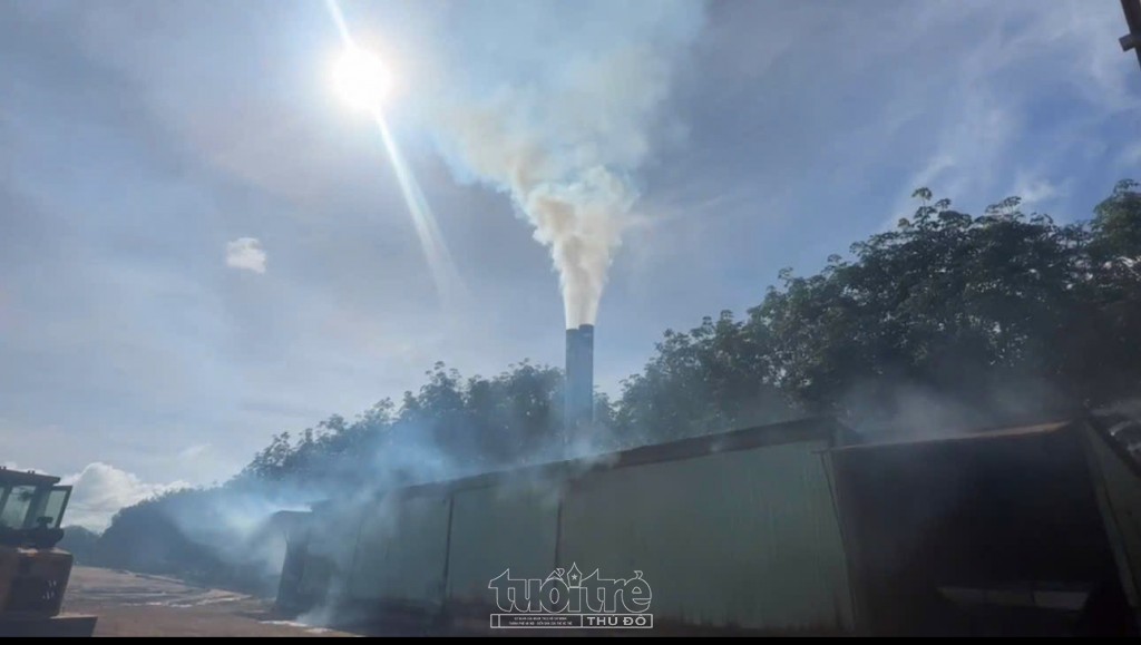 Quảng Ngãi: Cơ sở sấy cà phê ngày đêm 