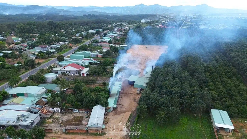 Quảng Ngãi: Tạm ngừng hoạt động cơ sở sấy cà phê gây ô nhiễm