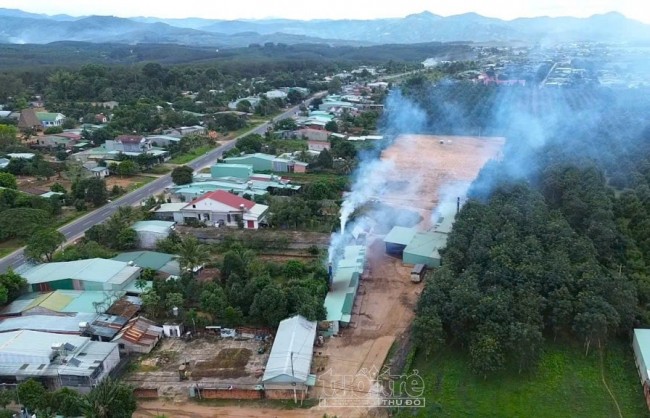 Quảng Ngãi: Tạm ngừng hoạt động cơ sở sấy cà phê gây ô nhiễm