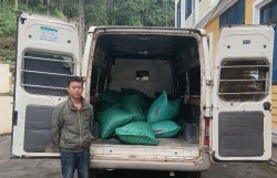 Phát hiện, thu giữ gần 1 tấn cau khô vận chuyển trái phép