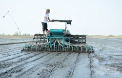 Tăng cường hoạt động cải tạo đất để giảm phát thải khí mê-tan