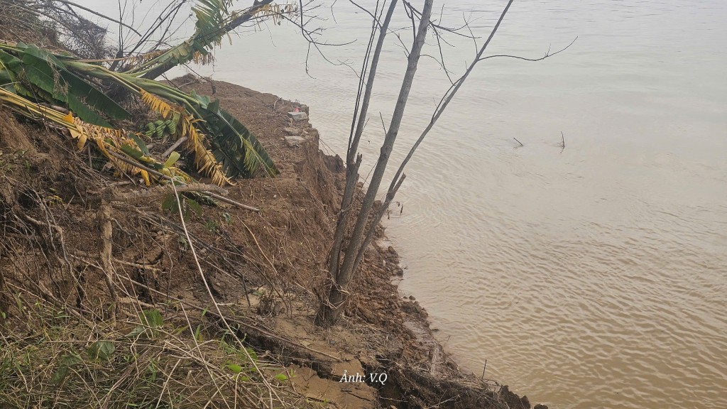 Lũ cuốn trôi hàng chục hecta đất ven Thu Bồn, người dân hốt hoảng