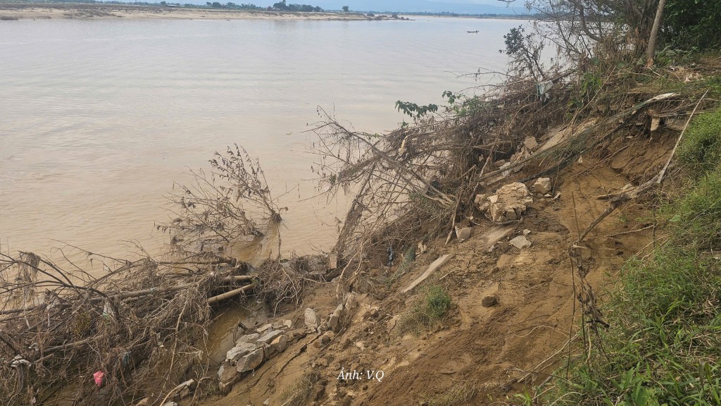 Lũ cuốn trôi hàng chục hecta đất ven Thu Bồn, người dân hốt hoảng