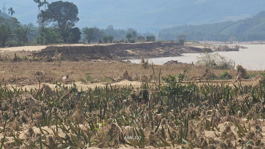 Nhà trôi xuống dòng Vu Gia, cụ bà 71 tuổi khóc cạn nước mắt