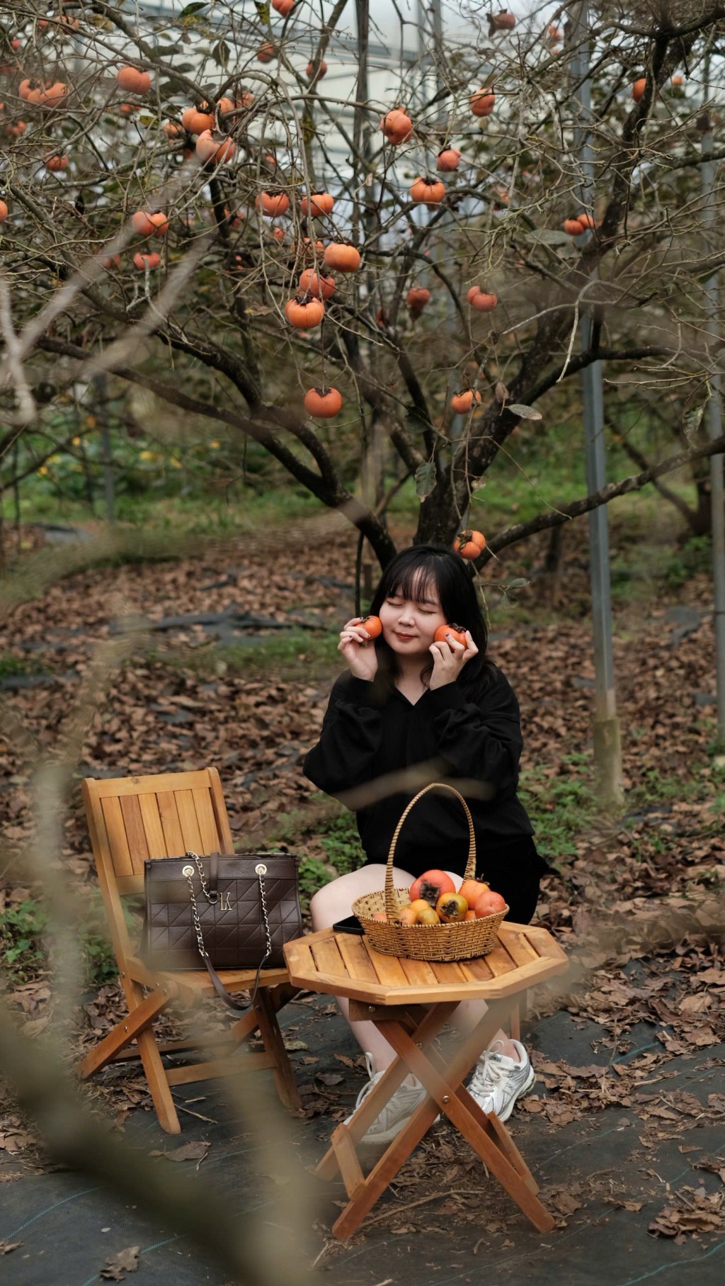 Đắm chìm trong không gian xanh tại Mocha Hill