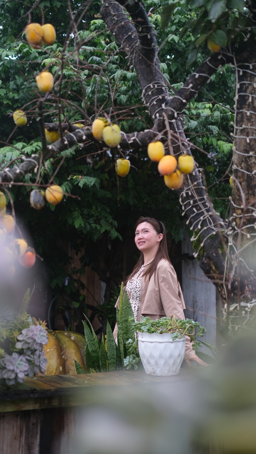 Du khách chụp tại Vườn hồng Fuji - Nhật Bản