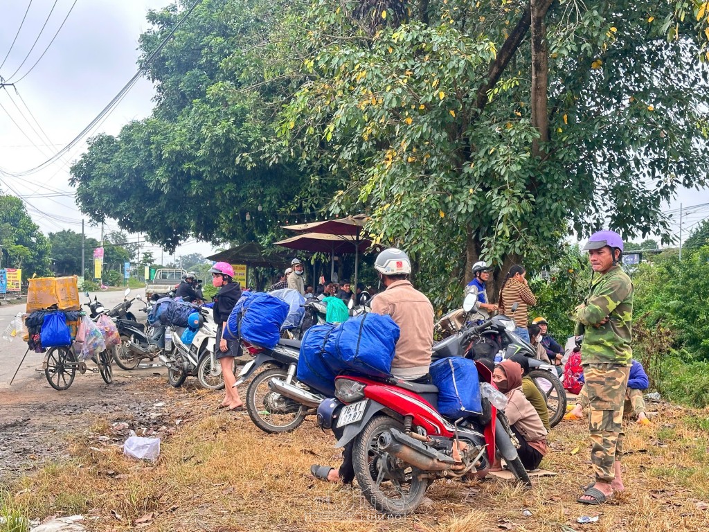 Quảng Ngãi: Khan nhân công tại “thủ phủ” cà phê Quảng Ngãi: Khan nhân công tại “thủ phủ” cà phê