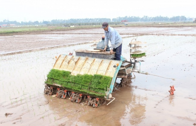 Hà Nội khuyến khích nhân rộng cơ giới hóa trong sản xuất nông nghiệp