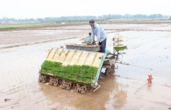 Hà Nội khuyến khích nhân rộng cơ giới hóa trong sản xuất nông nghiệp