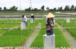 Ứng dụng công nghệ cảm biến giám sát, kiểm soát phát thải khí mê-tan