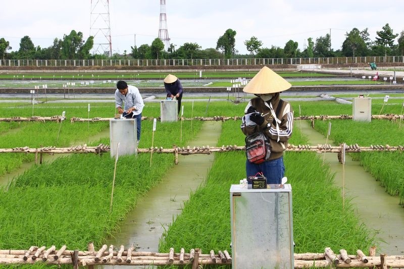 Ứng dụng công nghệ cảm biến giám sát, kiểm soát phát thải khí mê-tan