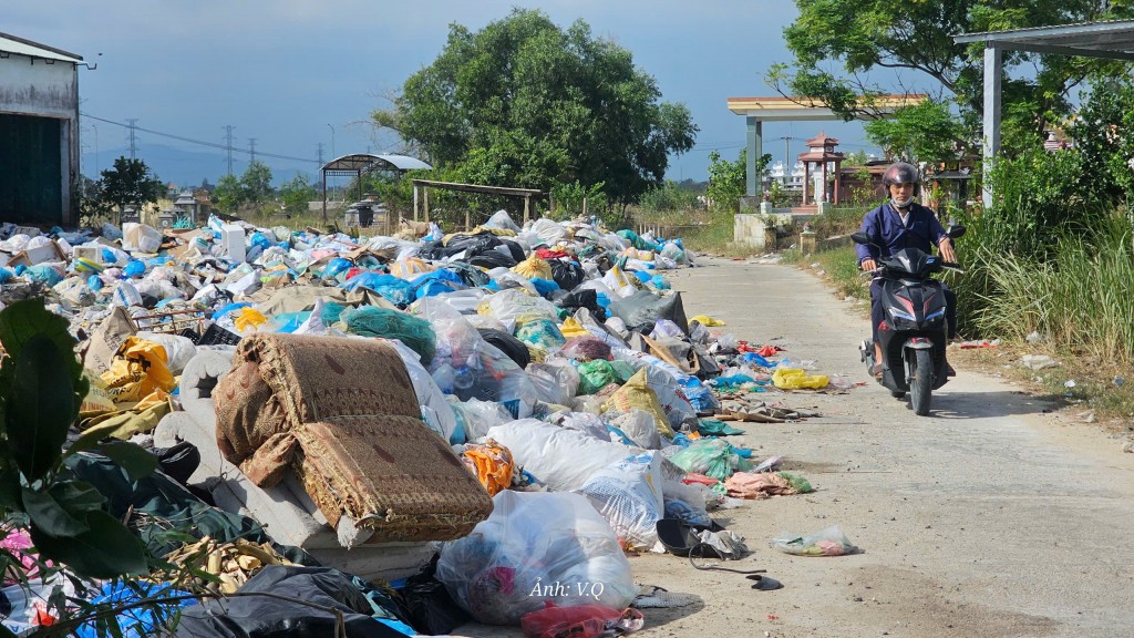 Đà Nẵng: Rác thải 