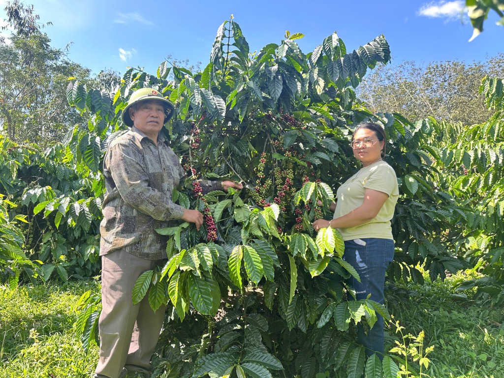 Cần nhiều chính sách đặc thù cho đồng bào dân tộc thiểu số Cần nhiều chính sách đặc thù cho đồng bào dân tộc thiểu số