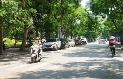 Ngày 14/11: Miền Bắc ngày nắng, đêm và sáng trời rét