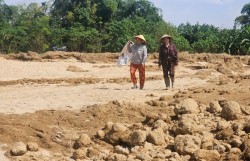 Đà Nẵng: Cát bồi lấp cả một vùng, người dân Gò Nổi điêu đứng