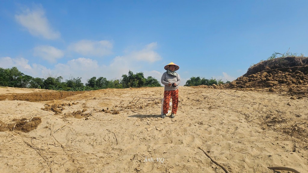 Cát bồi lấp cả một vùng sản xuất, người dân Gò Nổi điêu đứng Cát bồi lấp cả một vùng sản xuất, người dân Gò Nổi điêu đứng