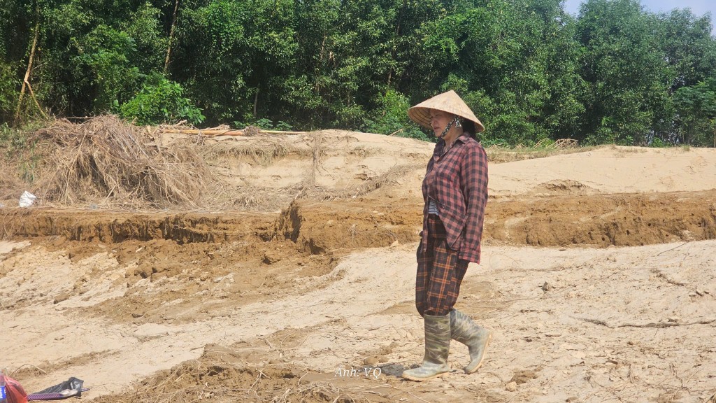 Cát bồi lấp cả một vùng sản xuất, người dân Gò Nổi điêu đứng Cát bồi lấp cả một vùng sản xuất, người dân Gò Nổi điêu đứng