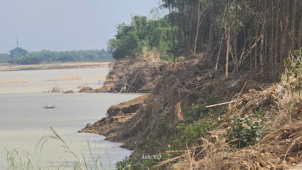 Cát bồi lấp cả một vùng sản xuất, người dân Gò Nổi điêu đứng Cát bồi lấp cả một vùng sản xuất, người dân Gò Nổi điêu đứng