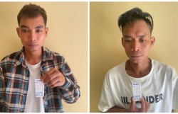 Quan Thành (Nghệ An): Khởi tố đối tượng mua bán trái phép chất ma túy