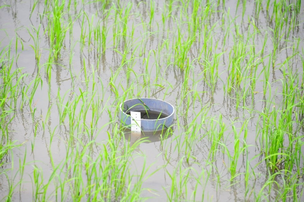 Các kỹ thuật tốt nhất hiện có thể giảm phát thải khí mê-tan