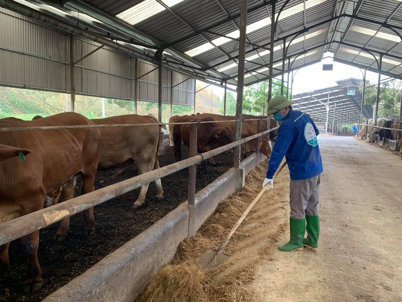 Các kỹ thuật tốt nhất hiện có thể giảm phát thải khí mê-tan