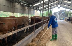 Các kỹ thuật tốt nhất hiện có thể giảm phát thải khí mê-tan