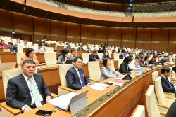 Ứng dụng VNeID để lập danh sách, in thẻ cử tri