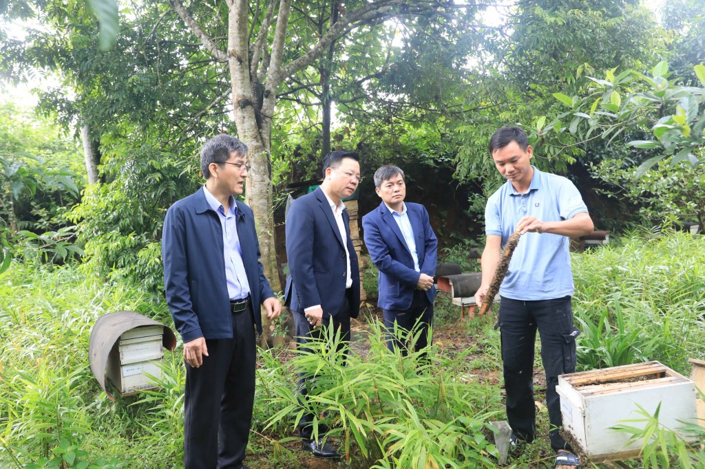 Thúc đẩy phát triển kinh tế - xã hội gắn với bảo tồn văn hóa truyền thống vùng dân tộc thiểu số Thúc đẩy phát triển kinh tế - xã hội gắn với bảo tồn văn hóa truyền thống vùng dân tộc thiểu số