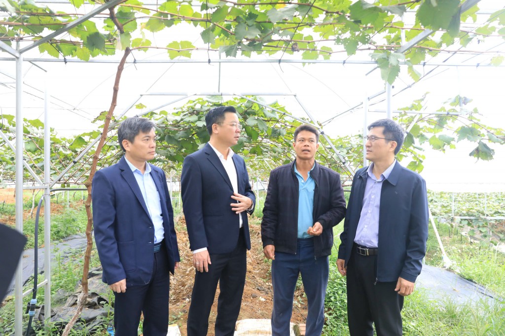 Thúc đẩy phát triển kinh tế - xã hội gắn với bảo tồn văn hóa truyền thống vùng dân tộc thiểu số Thúc đẩy phát triển kinh tế - xã hội gắn với bảo tồn văn hóa truyền thống vùng dân tộc thiểu số