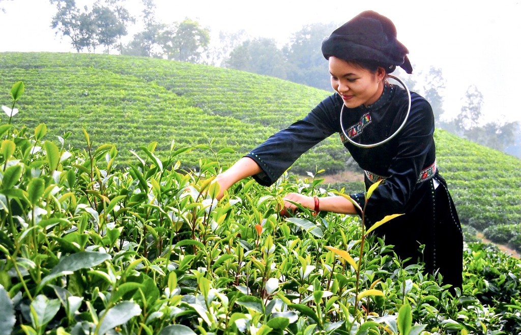 Bảo đảm mục tiêu, yêu cầu phải cao hơn, tốt hơn