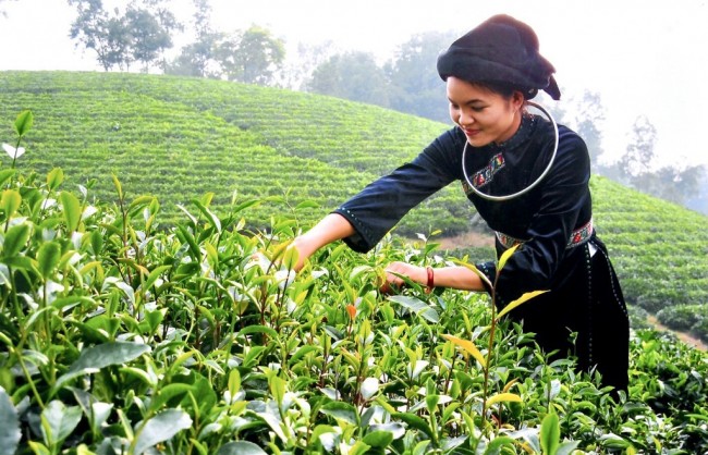 Bảo đảm mục tiêu, yêu cầu phải cao hơn, tốt hơn