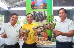 Ngày hội cua Cà Mau hút du khách bằng nhiều hoạt động đặc sắc