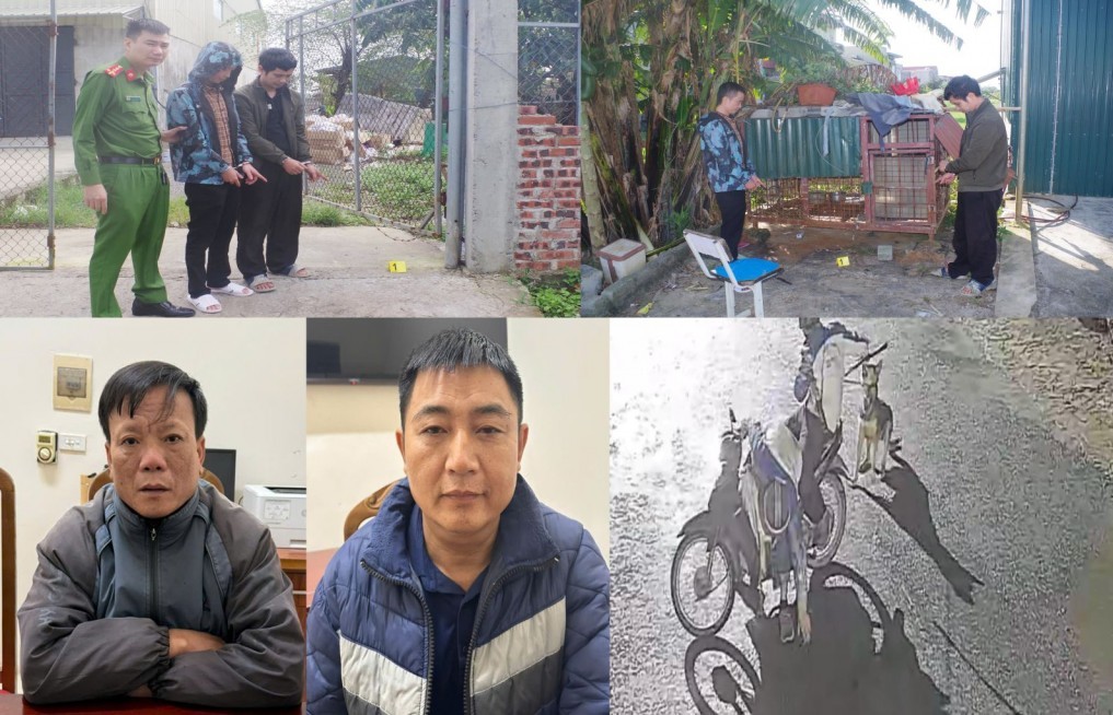 Đông Quang (Thanh Hoá): Bắt giữ các đối tượng trộm chó với thủ đoạn tinh vi, manh động