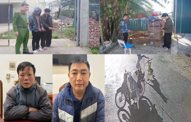 Đông Quang (Thanh Hoá): Bắt giữ các đối tượng trộm chó với thủ đoạn tinh vi, manh động