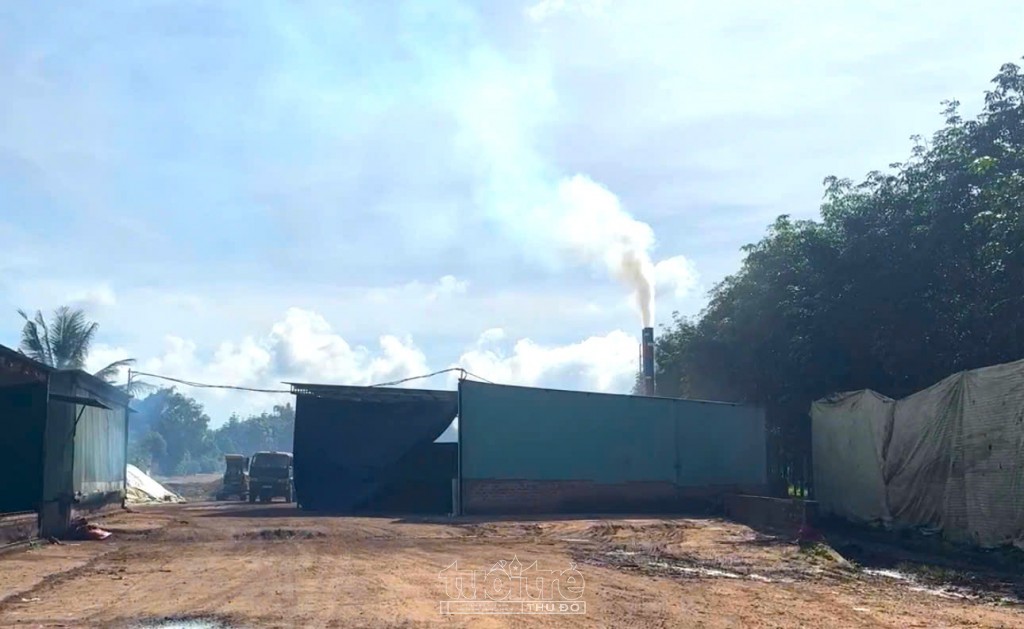 Bị xã “tuýt còi”, cơ sở sấy cà phê vẫn ngang nhiên hoạt động