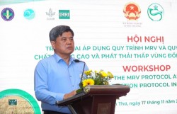 Quy trình giảm phát thải khí mê-tan trong sản xuất lúa